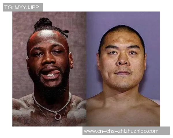 维尔德与史蒂文内激战在即谁能在拳坛巅峰争夺中胜出